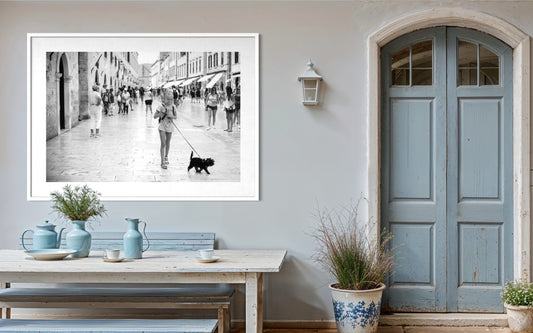 Black Dog, White Streets - Split