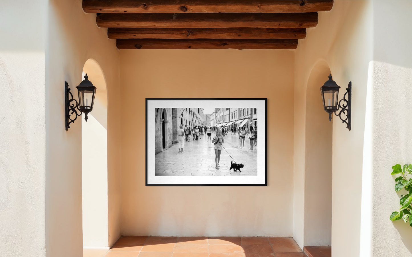 Black Dog, White Streets - Split