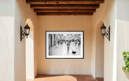 Black Dog, White Streets - Split