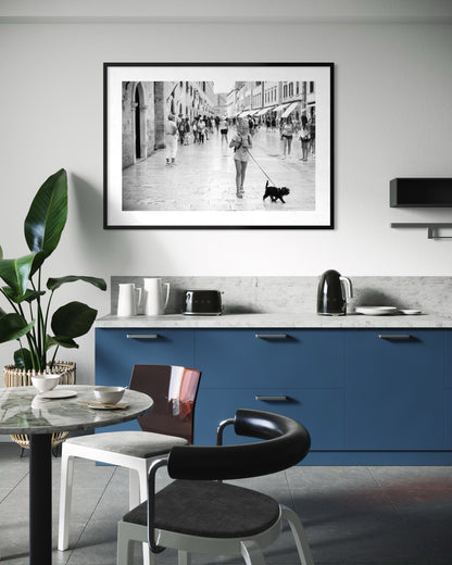 Black Dog, White Streets - Split