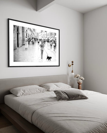 Black Dog, White Streets - Split