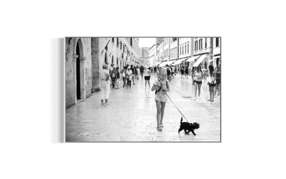 Black Dog, White Streets - Split