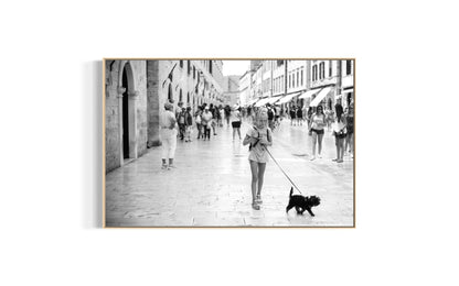 Black Dog, White Streets - Split