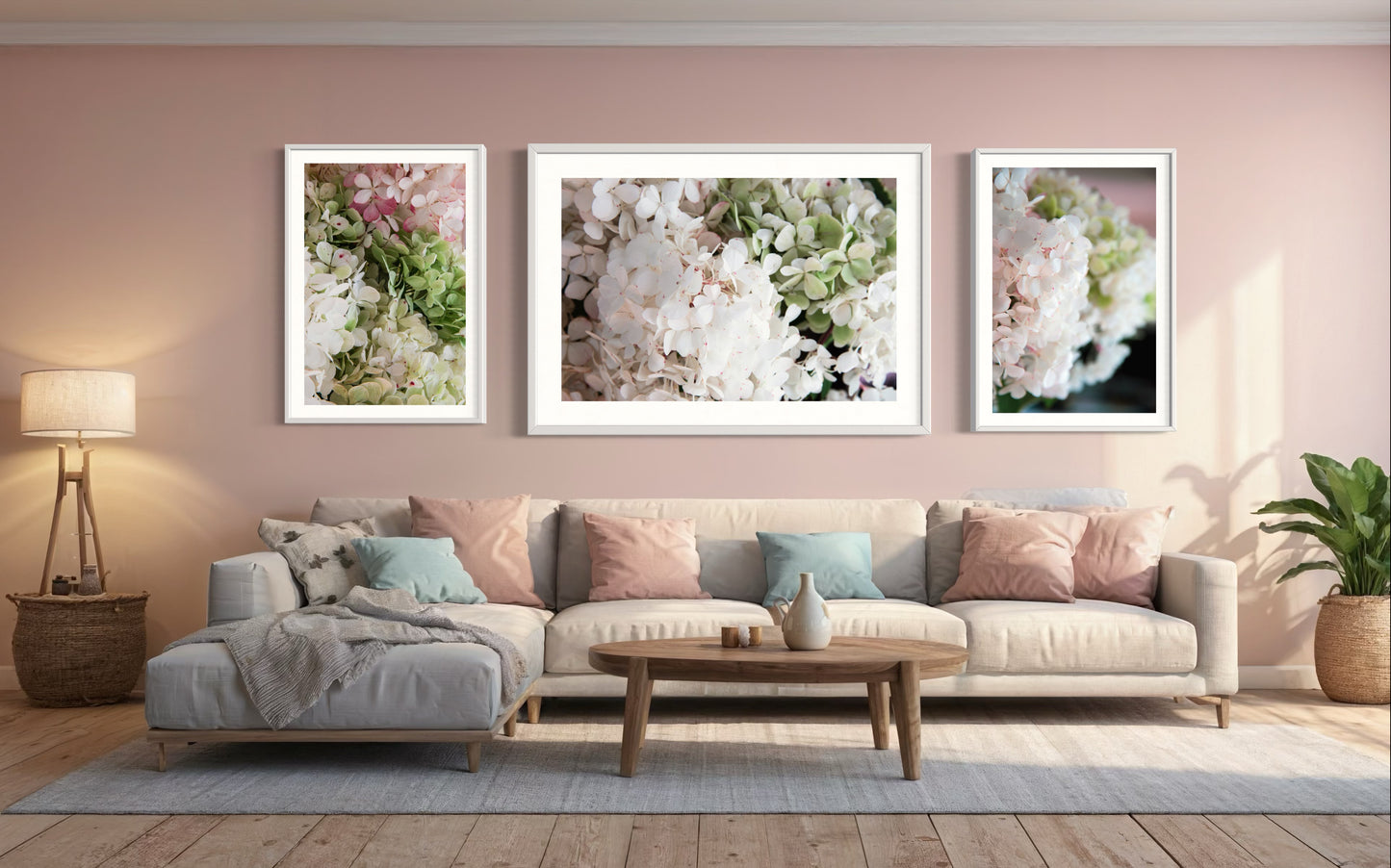 Hydrangeas Tri-Series