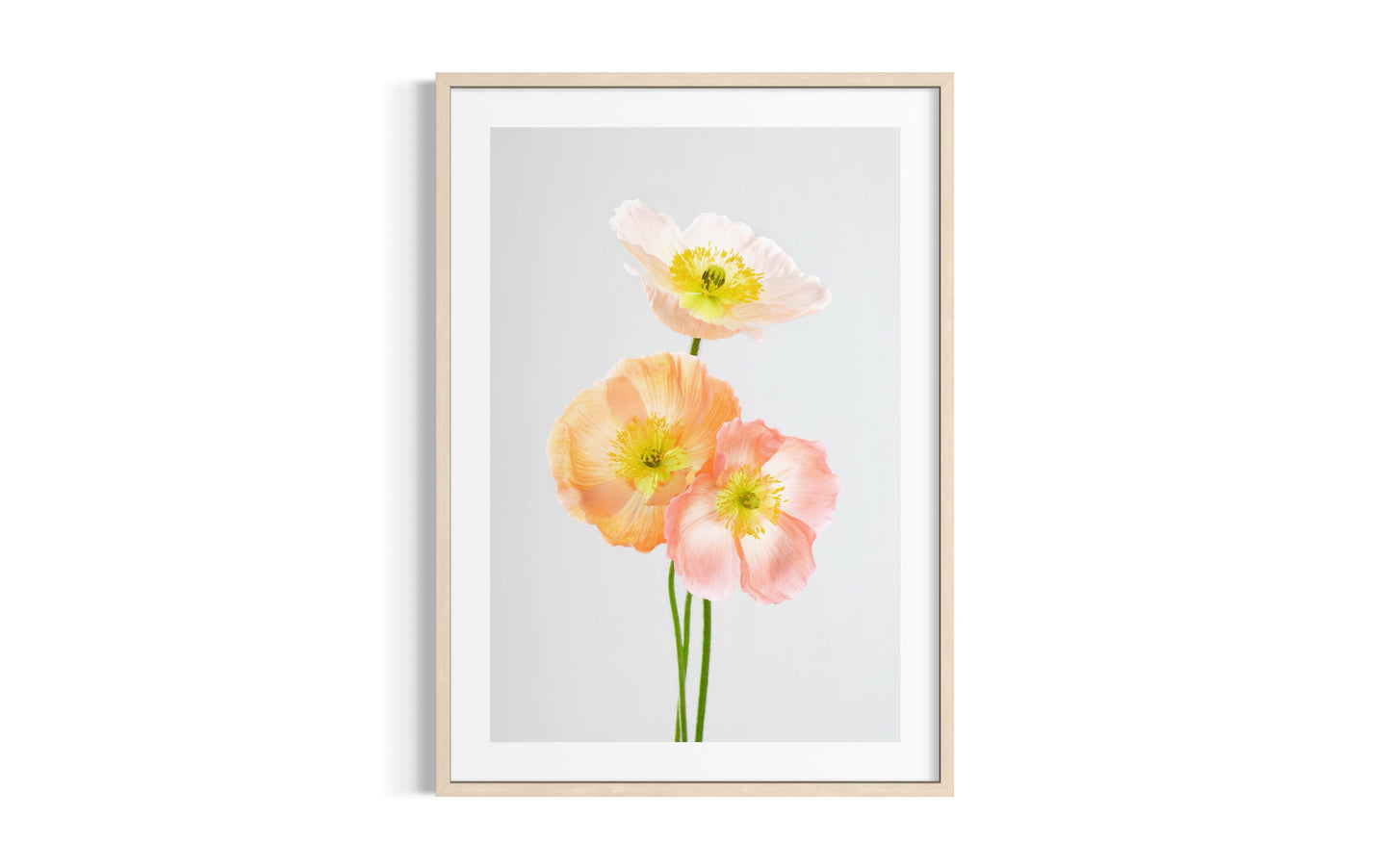 Soul Sisters Poppies