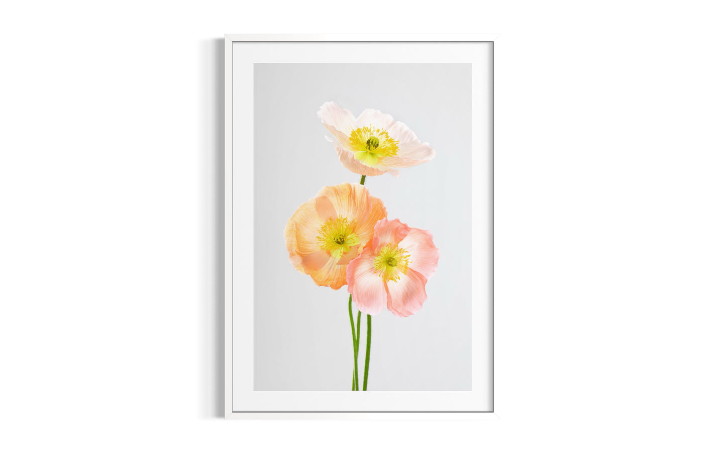 Soul Sisters Poppies