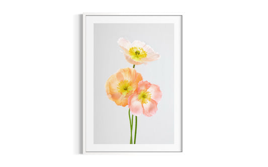 Soul Sisters Poppies