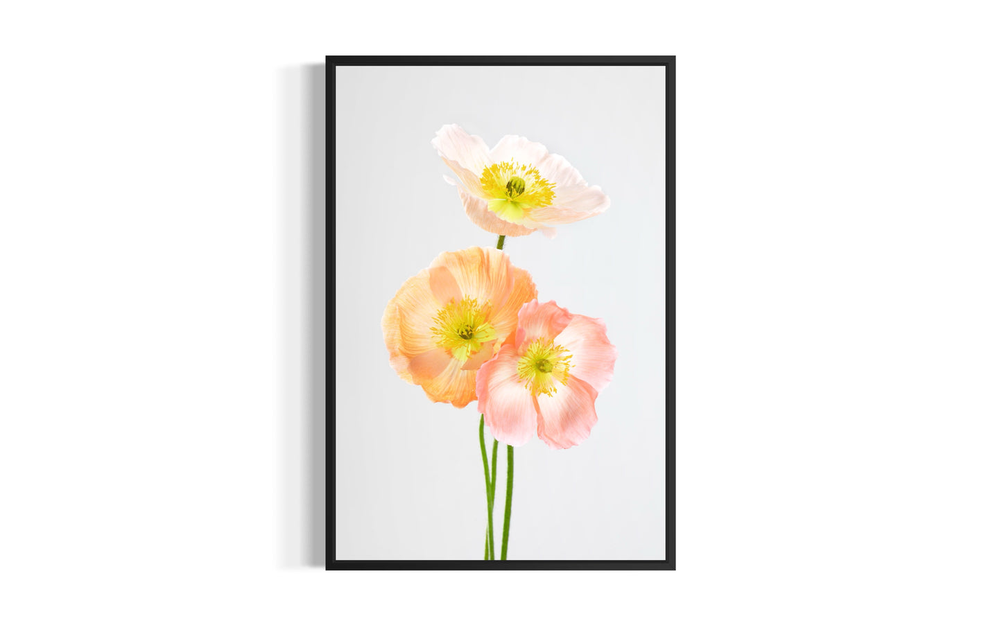 Soul Sisters Poppies