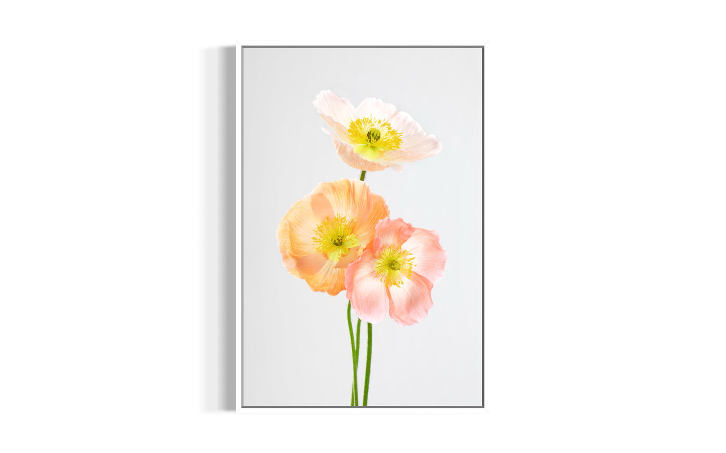 Soul Sisters Poppies