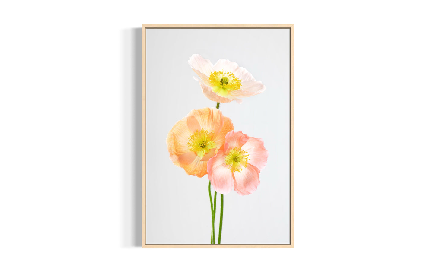 Soul Sisters Poppies